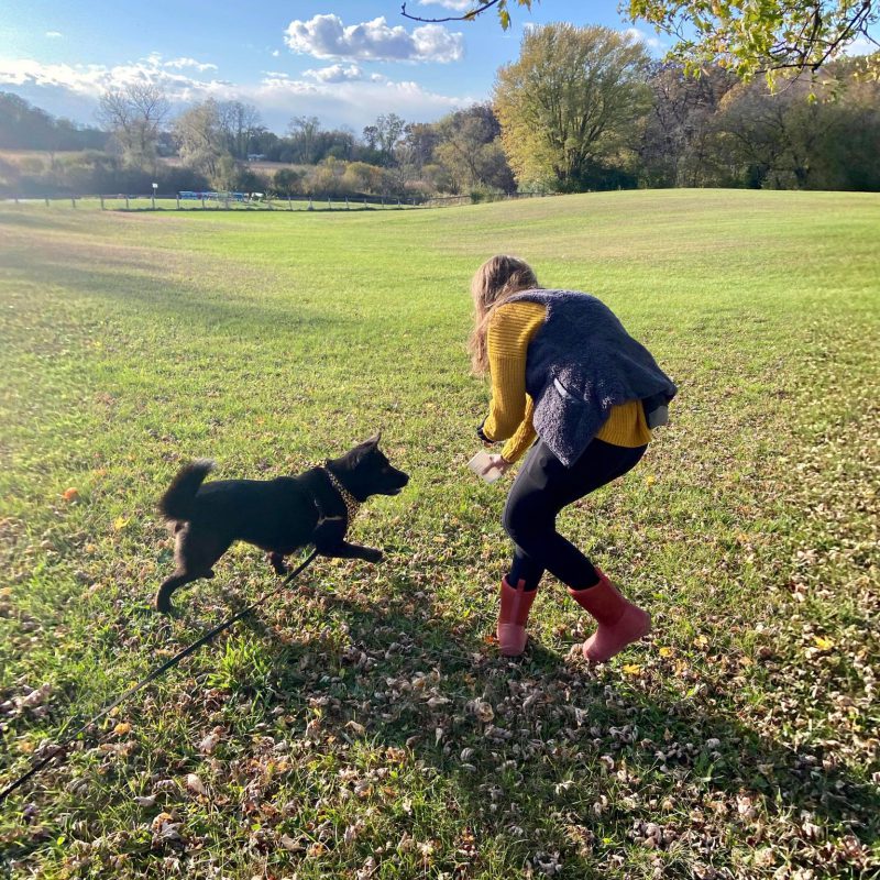 person and dog in a field